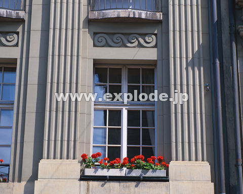 �O�P�U�F�� �X�C�X