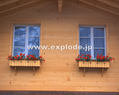�O�Q�O�F�� �X�C�X