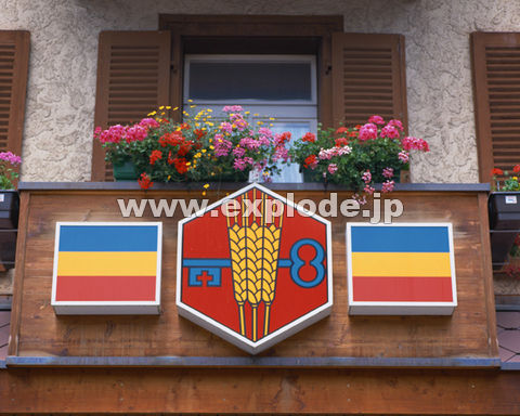 �O�Q�R�F�� �X�C�X