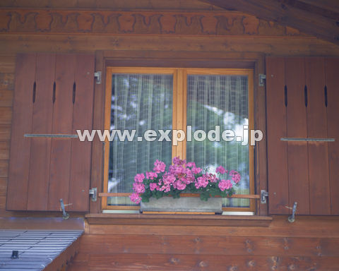 �O�Q�W�F�� �X�C�X