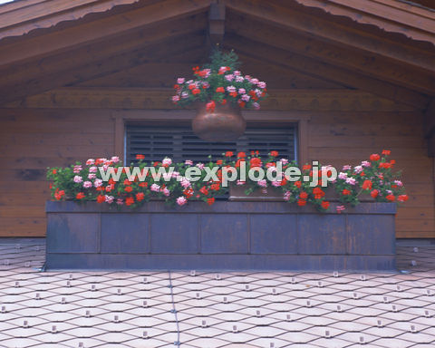 �O�R�X�F�� �X�C�X