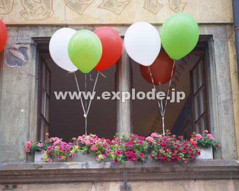 �O�T�S�F�� �X�C�X