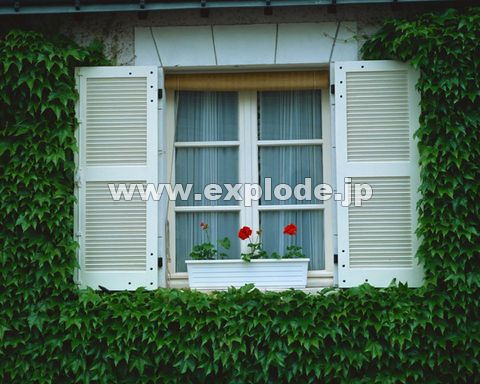 �O�W�Q�F�� �t�����X