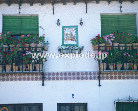 �O�X�O�F�� �X�y�C��
