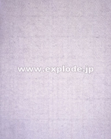 �O�T�V�F���Z�a���i�ϐ����j