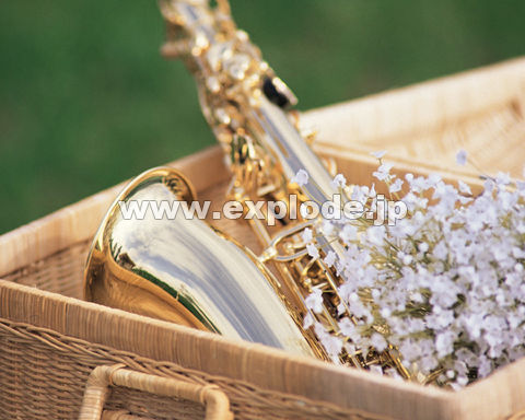�O�Q�O�F�T�L�\�t�H�� �o�X�P�b�g