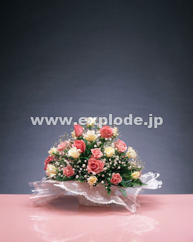 �O�W�W�F�t�����[�A�����W�����g�i�o���j