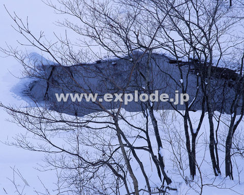 �O�R�U�F���� ���֒�