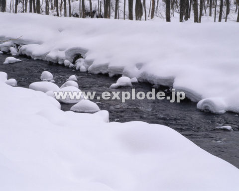 �O�S�X�F���� ���֒�
