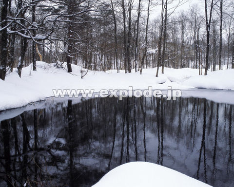 �O�T�O�F���� ���֒�