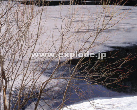 �O�V�S�F���� ���j��