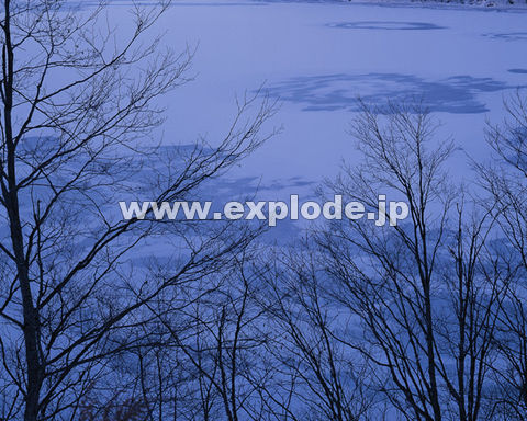�O�X�U�F���� ���֒�