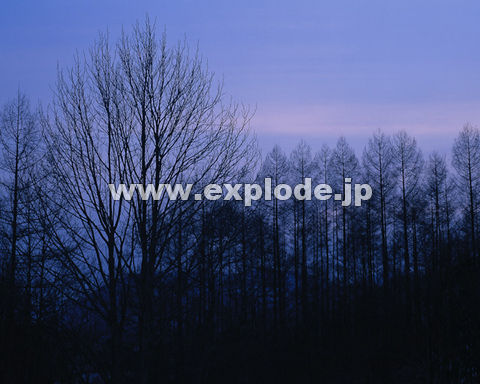 �O�X�V�F���� ���֒�