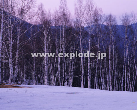 �O�X�W�F���� ��ƍ��� �V���J�o