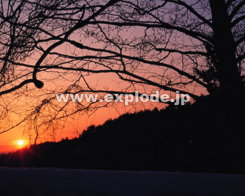 �P�O�O�F���� ���֒�