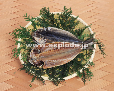 �O�P�S�F���J��