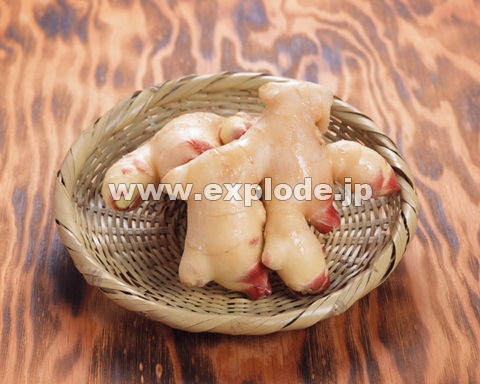�O�T�X�F�V���I