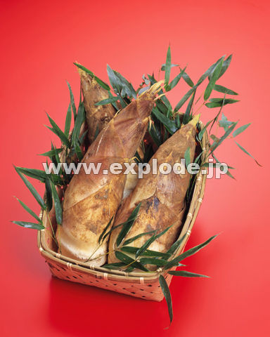 �O�V�R�F�����̂��i�U����j