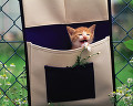 ０５７：仔猫・ウォールポケット