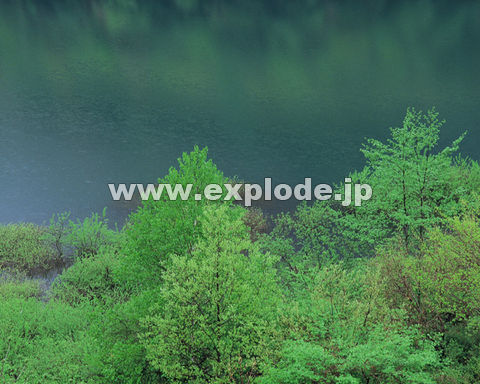 �O�X�P�F�΂Ɛ�