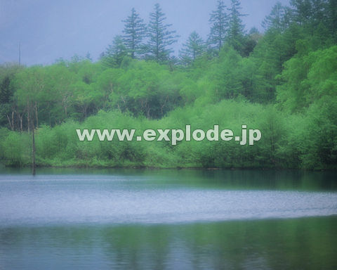 �O�X�R�F�΂Ɛ��E�C���[�W