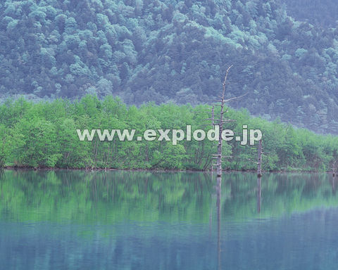 �O�X�T�F�΂Ɛ�