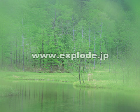 �O�X�V�F�΂Ɛ��E�C���[�W