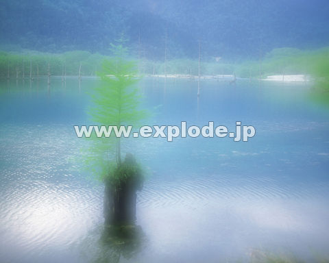 �O�X�X�F�΂Ɛ��E�C���[�W