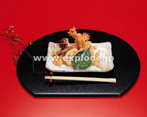 �O�T�R�F �V�n��