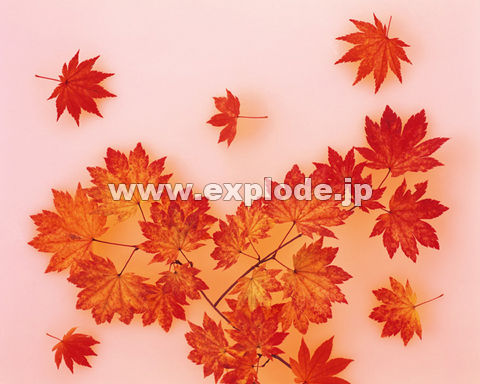 �O�X�U�F���~�W(�H)