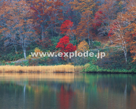 �O�V�P�F�g�t�E����   ���֒�