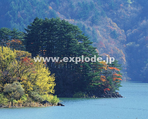 �O�V�S�F�g�t�E����   ���֒�