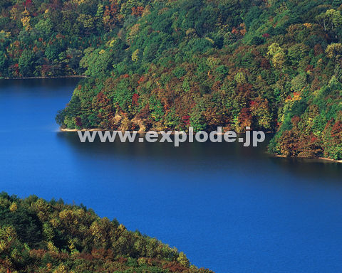 �O�V�T�F�g�t�E����   ���֒�