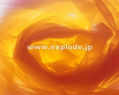 �O�X�Q�F�W���[�[�b�g(�s���N �C�G���[)