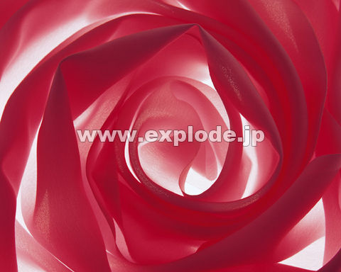 �O�X�R�F�I�[�K���W�[(���b�h)
