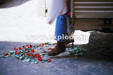 �O�S�T�F�C�^���A ���[�}�@�@�@�@�@  �����̑� �o��