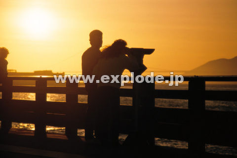 �O�V�W�F�A�����J �T���t�����V�X�R  �J�b�v��