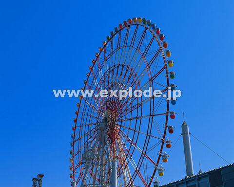 �O�T�P�F�����E���