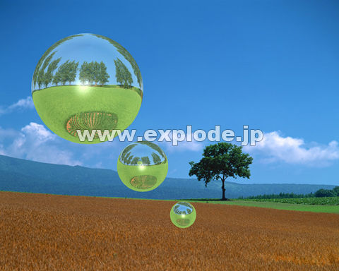 �O�W�O�F�� ��n �� ����