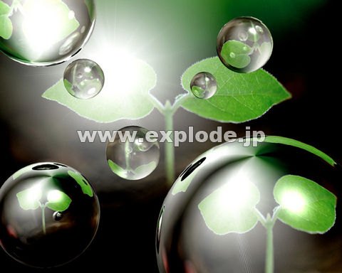 �O�X�P�F�o�t ���H �� ��