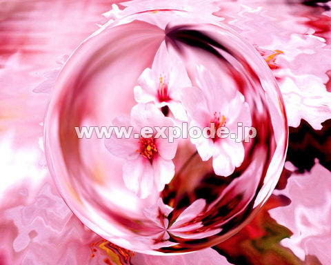 �O�X�S�F���̉� ���� �g�� �s���N