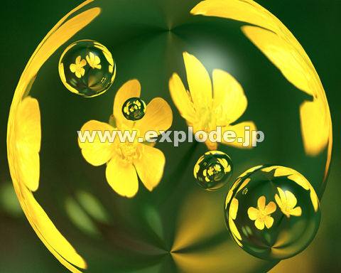 �O�X�T�F���F���� ����