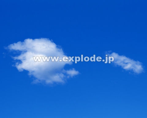 �O�P�T�F�� �_