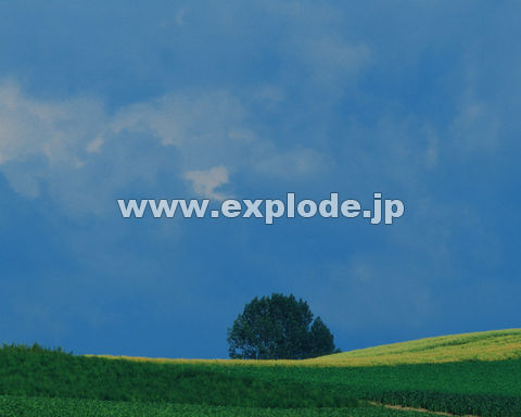 �O�S�R�F�� �_ �� ��   �k�C��