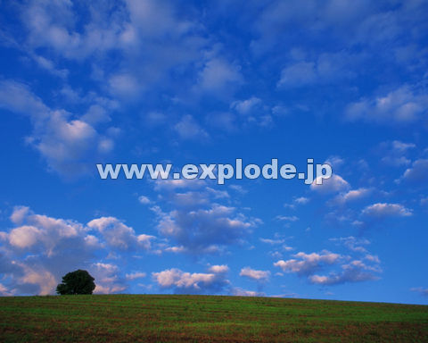�O�S�V�F�� �_ �� ��   �k�C��