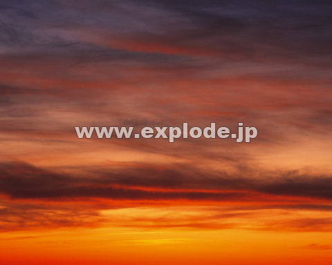 �O�T�X�F���� �_