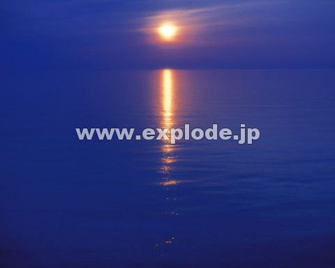 �O�W�T�F�[�� �_ �C ���z