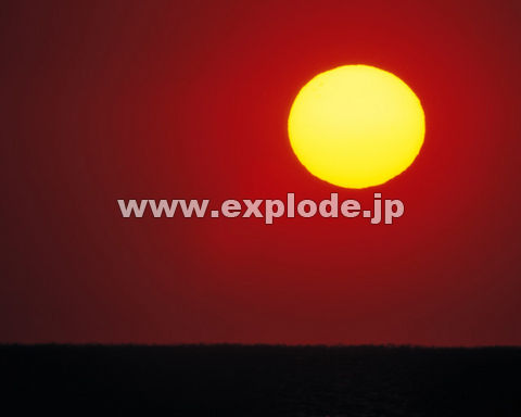 �O�X�O�F���� �C ���z