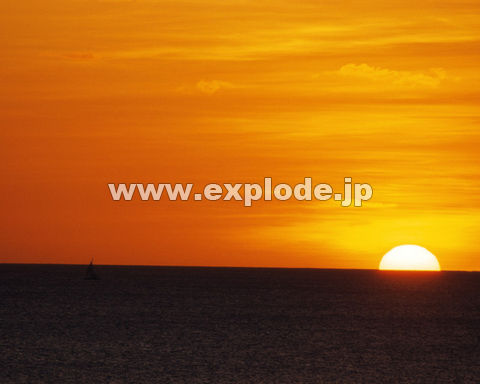 �O�X�P�F�[�� �_ �C ���z