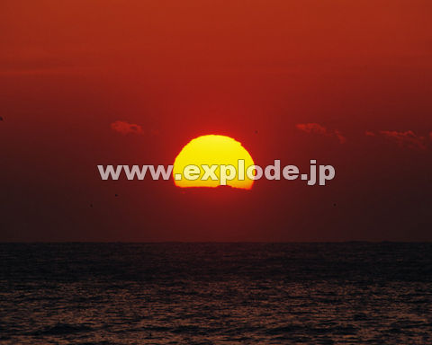 �O�X�R�F�[�� �_ ���z